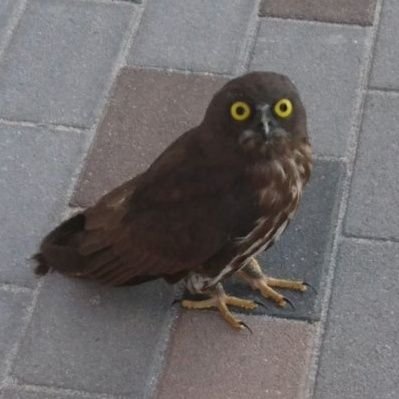 減価償却.?のプロフィール写真