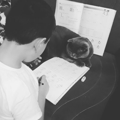 kayra330's profile picture. Kediler🐱 teknoliji💻