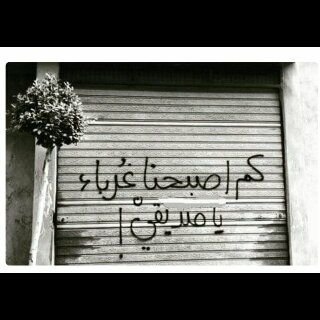 لا شيء يحلو لي في هذه الحياة فكل شيء زائل ... ).
