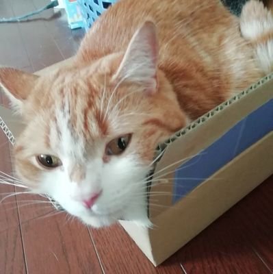 TAICHIさんのプロフィール画像