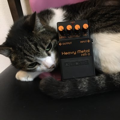 toxoplasmabuox2 Profile Picture