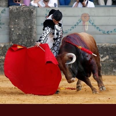 Orgulloso de ser Español,Monarquico,Taurino,del Real Madrid,respeto y pido respeto.