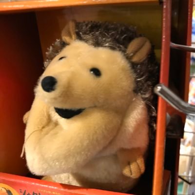 L2SDJUJvxEgzHq3's profile picture. 