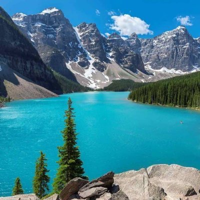 AminAghamohamm1's profile picture. 