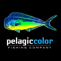 Pelagic Color(@PelagicColor) 's Twitter Profile Photo