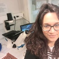 Eleftheria Papadopoulou (@elefthepapado) 's Twitter Profile