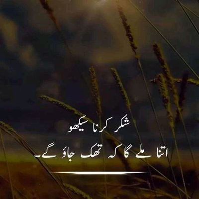 WvnNiLrgJqQWwVe's profile picture. AHL E BAIT UL ATHAAR
Meer shah
GULLSHAN-E-ZAHARA