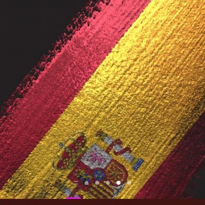 Caballero Español, serví en Pavía. No tolero las injusticias. Gestor de incertidumbres, deportista 🥋🏀muy orgulloso de ser Español. Honor, Valor y Lealtad.🇪🇸