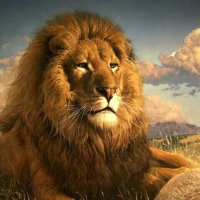 The 'Deplorable' King ✡️(@WildAtHeart45) 's Twitter Profile Photo