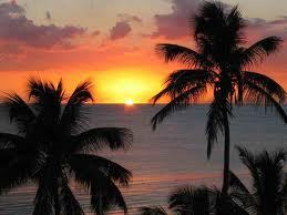 brendabee74's profile picture. 