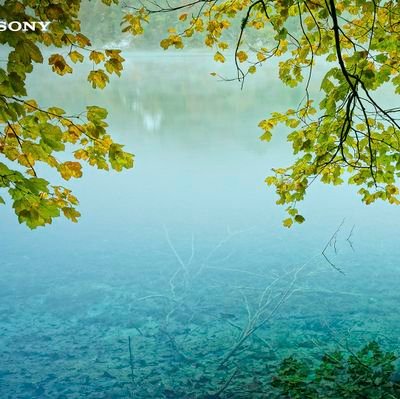 AbhishekguptaEr's profile picture. 