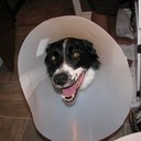 Tara Osman - @Taraosman - Twitter