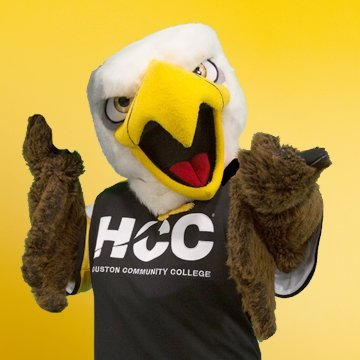 The official Twitter account for the Houston Community College System. #WeAreHCC