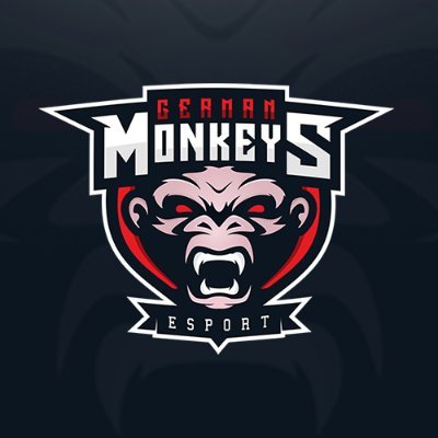Vorstand und Head of Management - @ger_monkeys / Age - 20 / Gaming enthusiast