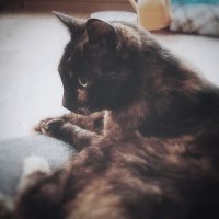ᴍᴀʀ (@mar35x) 's Twitter Profile Photo ᴍᴀʀ (@mar35x) 's Twitter Profile Photo