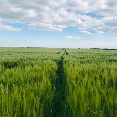 ☀️💦 🌾 🌽 🥔, im Regenschatten vom Harz, Nährstoffkreislauf