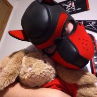 Rocket Puppy (@xrocketpup) 's Twitter Profile