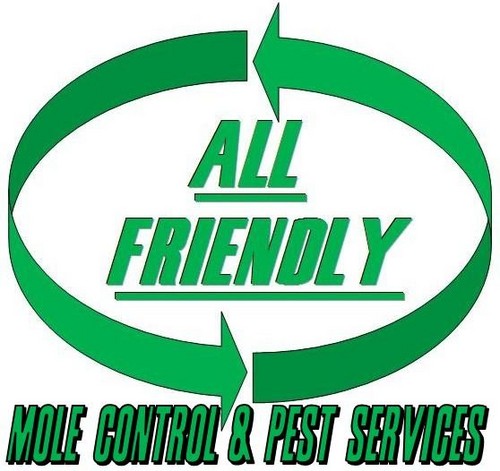 Effective Mole Control You Can Trust
We handle pest problems such as: Moles, Bats, Raccoons, Snakes, Skunks,and more!
Serving St Joseph,Platte City,and NWMO