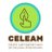 @celeam_latam