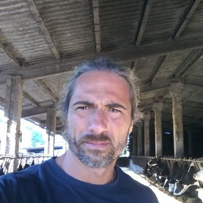 Jmanlazo's profile picture. Recte Faciendo Neminem Timeas