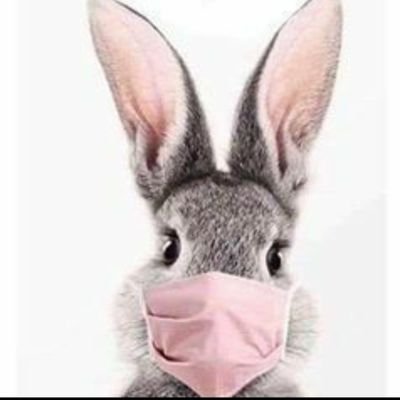 GrnEydGirlyGirl's profile picture. I would describe myself as 'delightfully difficult' & it would be easier if you just agreed with me. Proficient in 3 languages.  
English, Sarcasm & Profanity