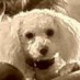 Liane Jo (@lianesellslbri) Twitter profile photo Liane Jo (@lianesellslbri) Twitter profile photo