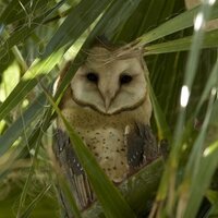 Lauren Baldwin (@ldbaldw) 's Twitter Profile