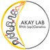 Akay Lab (@alperakaylab) Twitter profile photo Akay Lab (@alperakaylab) Twitter profile photo