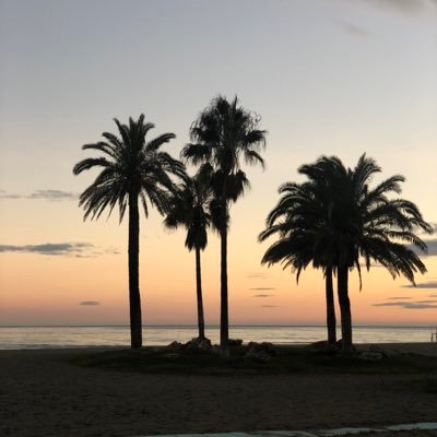 McgregorEwangr's profile picture. Lo tengo todo perfectamente descontrolado.