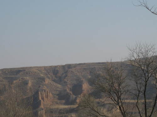 Yanjust's profile picture. 