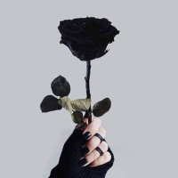 𝚆𝙰𝙶𝙳𝙸 ‏.☹️🍰.' (@ivix99) 's Twitter Profile