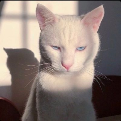 angrybirileri's profile picture. 