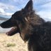 Anne Bronte (@annebronte1) Twitter profile photo Anne Bronte (@annebronte1) Twitter profile photo