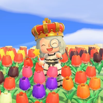 2020.05.14に島の評価が★★★★★になりました(*´꒳`*)歴代のどう森の景観が好きで、景観を活かした島のクリエイトをしています☺️定期的に島を開放しているので、仲良くしていただけると幸いです✨✨ d垢→@himawari201510
