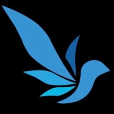 bird_clean's profile picture. Professional commercial and residential cleaning services across Toronto. We have a large, dedicated team of cleaners - (647) 637-8581