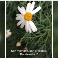 Julieta Ganón de Mello (@julietaganon) 's Twitter Profile