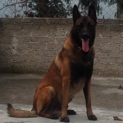 pakofran's profile picture. Ateo del Dios de l@s conservadores  /  Patria Grande

Las drogas destruyen vidas