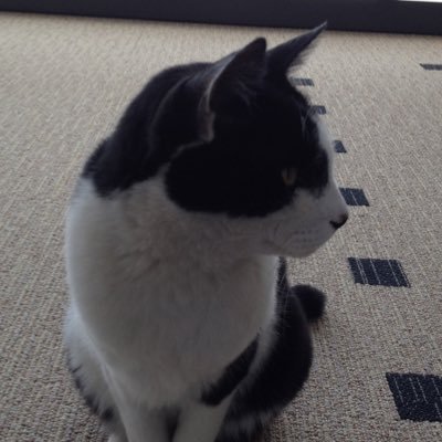 snooze0214's profile picture. Webデザイナー