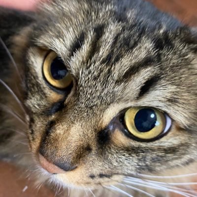 mottin2002's profile picture. 北海道大学 経済学部 3年