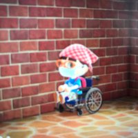 CHIE (@u1yhesol2p1bpc7) 's Twitter Profile
