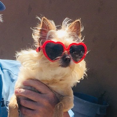 JewelsSD1's profile picture. 