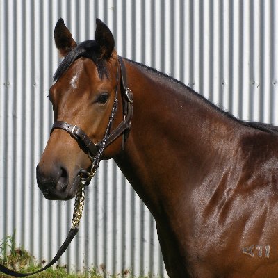 WillowGroveStud Profile Picture