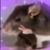tofu shrew (@biscotti_thotty) Twitter profile photo tofu shrew (@biscotti_thotty) Twitter profile photo