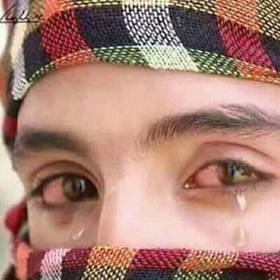 ZubairM04284866's profile picture. jt