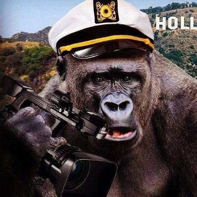 The official account for Jeff Tremaine's production company Gorilla Flicks and anything else he finds dumbworthy.