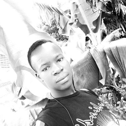 KiendrebeogoRo6's profile picture. la révolution