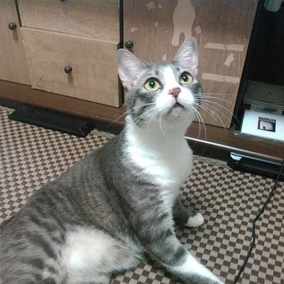 @buncyou10401