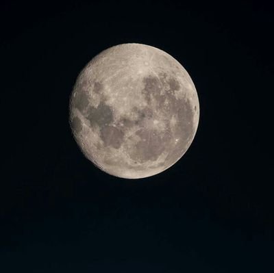 kimberly1771's profile picture. God first☝