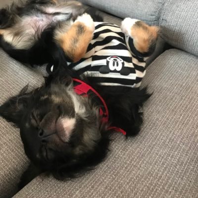 ゆうや 最近人狼殺ハマっとるんやけど ハマるきっかけのりんご星人の続きもおもろい りんご星人声可愛いすぎやし 7番のインキャに対して3 4が叩くところ好きw 人狼殺 りんご星人