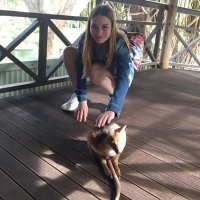 Mònica Santiveri (@monicasantiveri) 's Twitter Profile